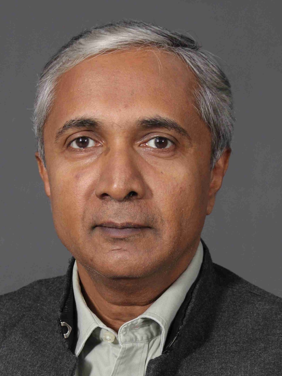Vikram Mathews